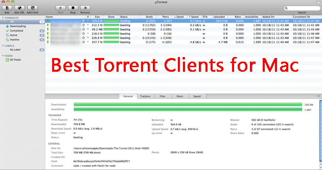 logic for mac torrent